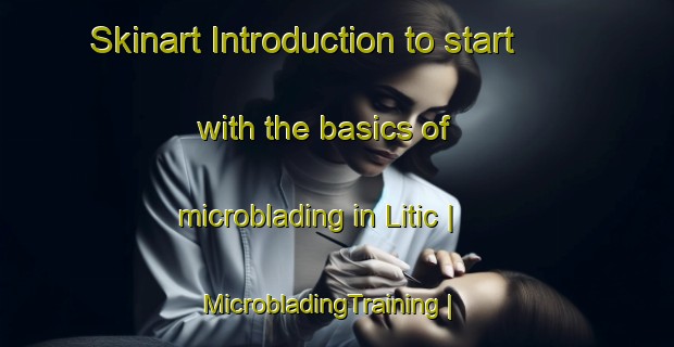 Skinart Introduction to start with the basics of microblading in Litic | MicrobladingTraining | MicrobladingClasses | SkinartTraining-Czech Republic